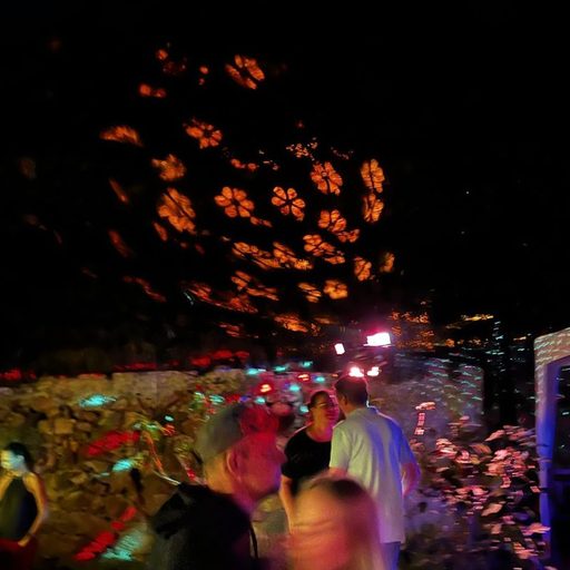 Party Gallery